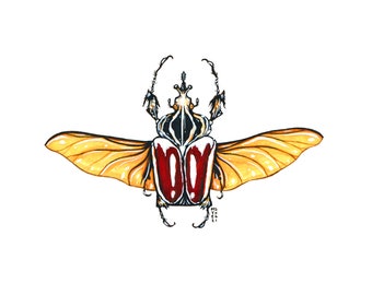 Goliath Beetle, Original Watercolor Painting