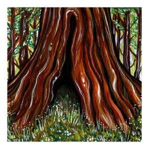 Redwood National Park, California | Original Watercolor Painting