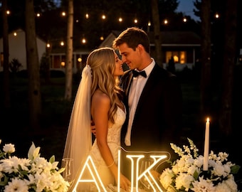 Custom initials minimalist wedding sign, Couple initials with Est Year, Light up sign for wedding,Modern backdrop Decor,Engagement party led