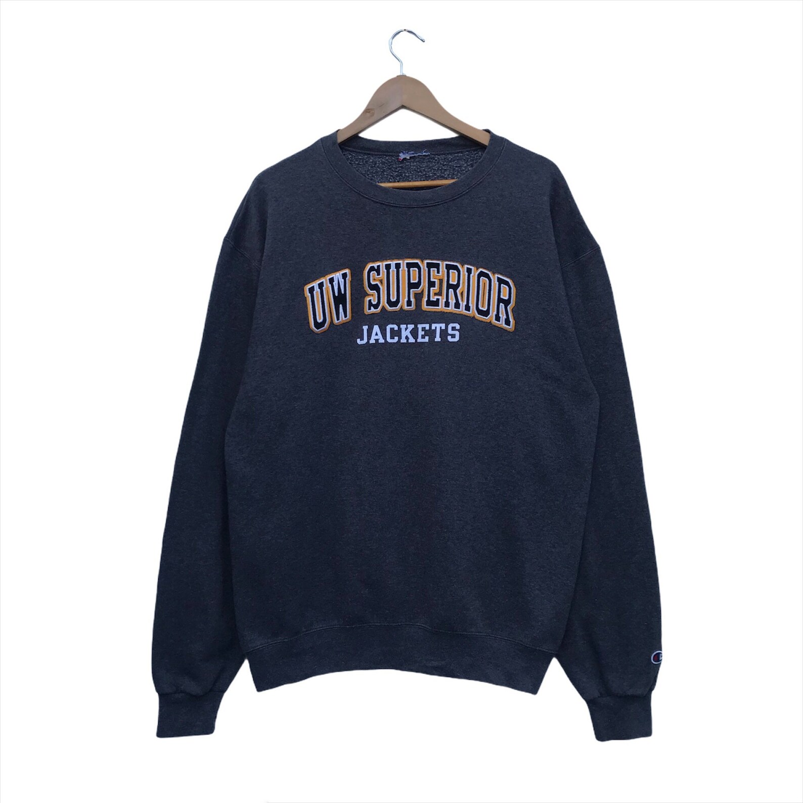 university of wisconsin champion sweatshirt