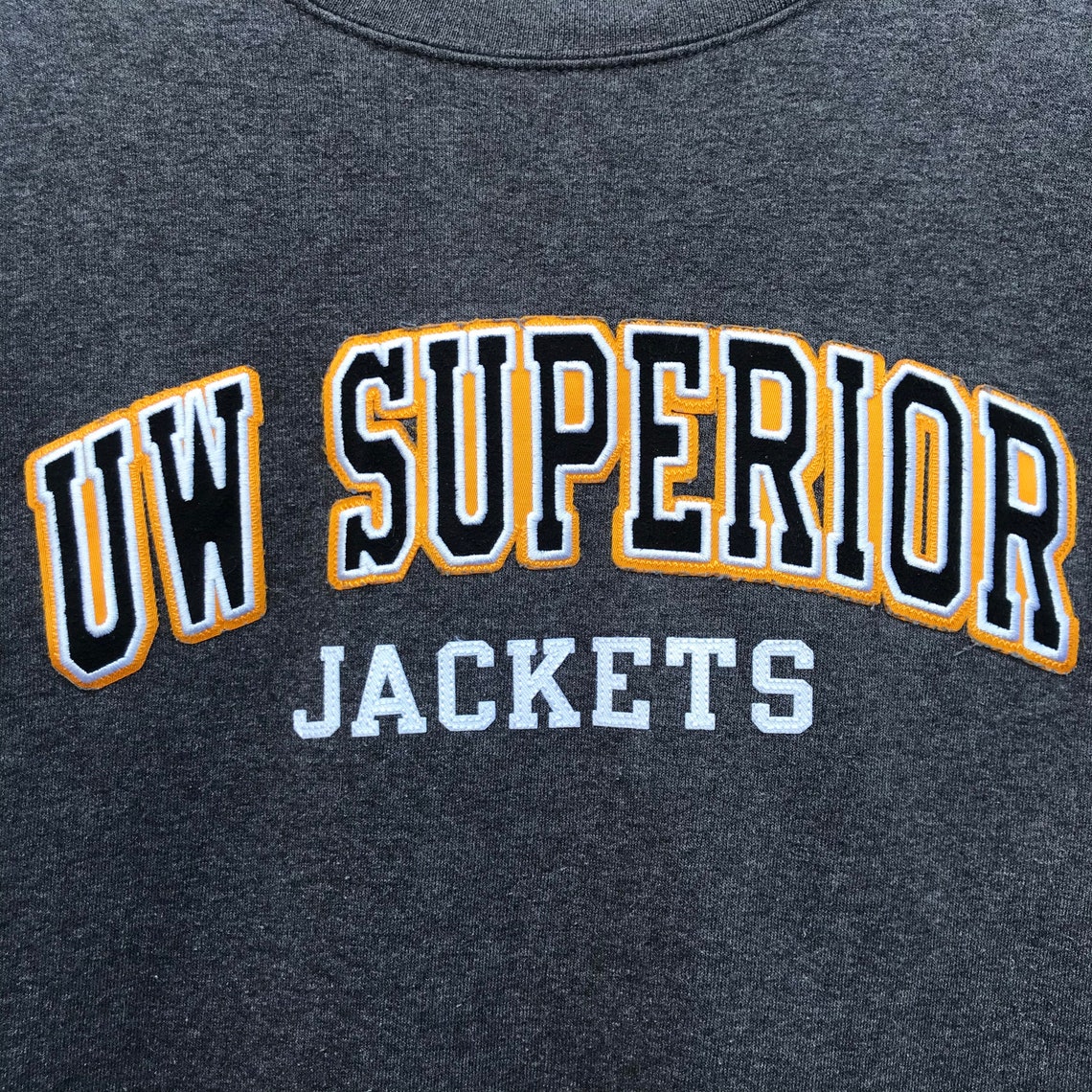 university of wisconsin champion sweatshirt