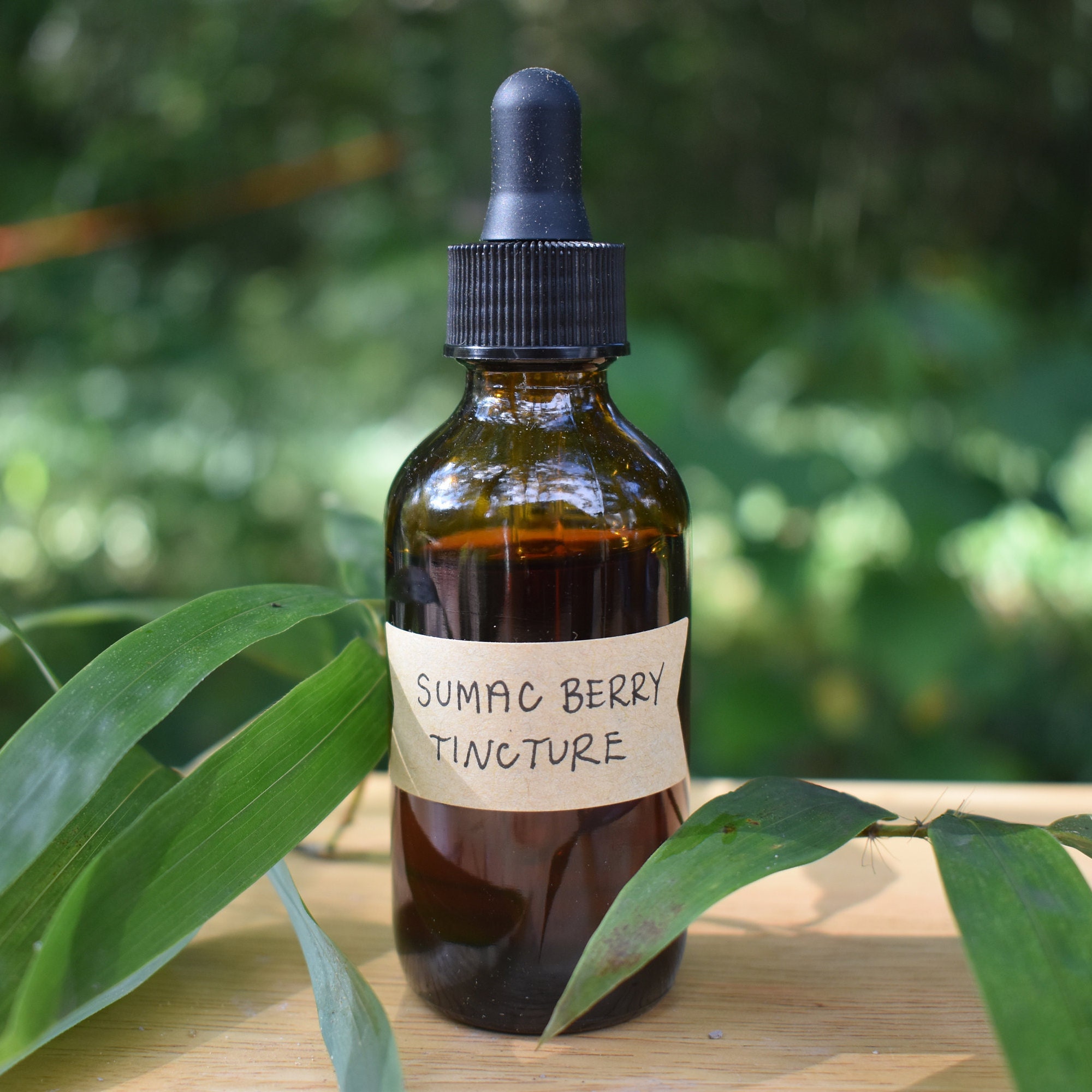 Sumac Berry Tincture 2oz Wild Foraged Etsy