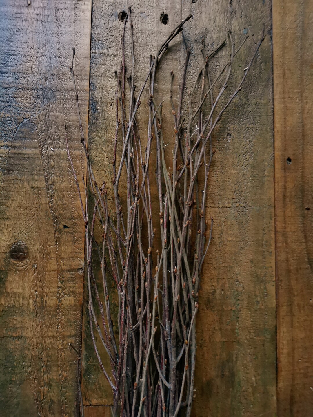 Dried Birch Branches twig Birch Foliage Daisyodwyersflorist Etsy UK