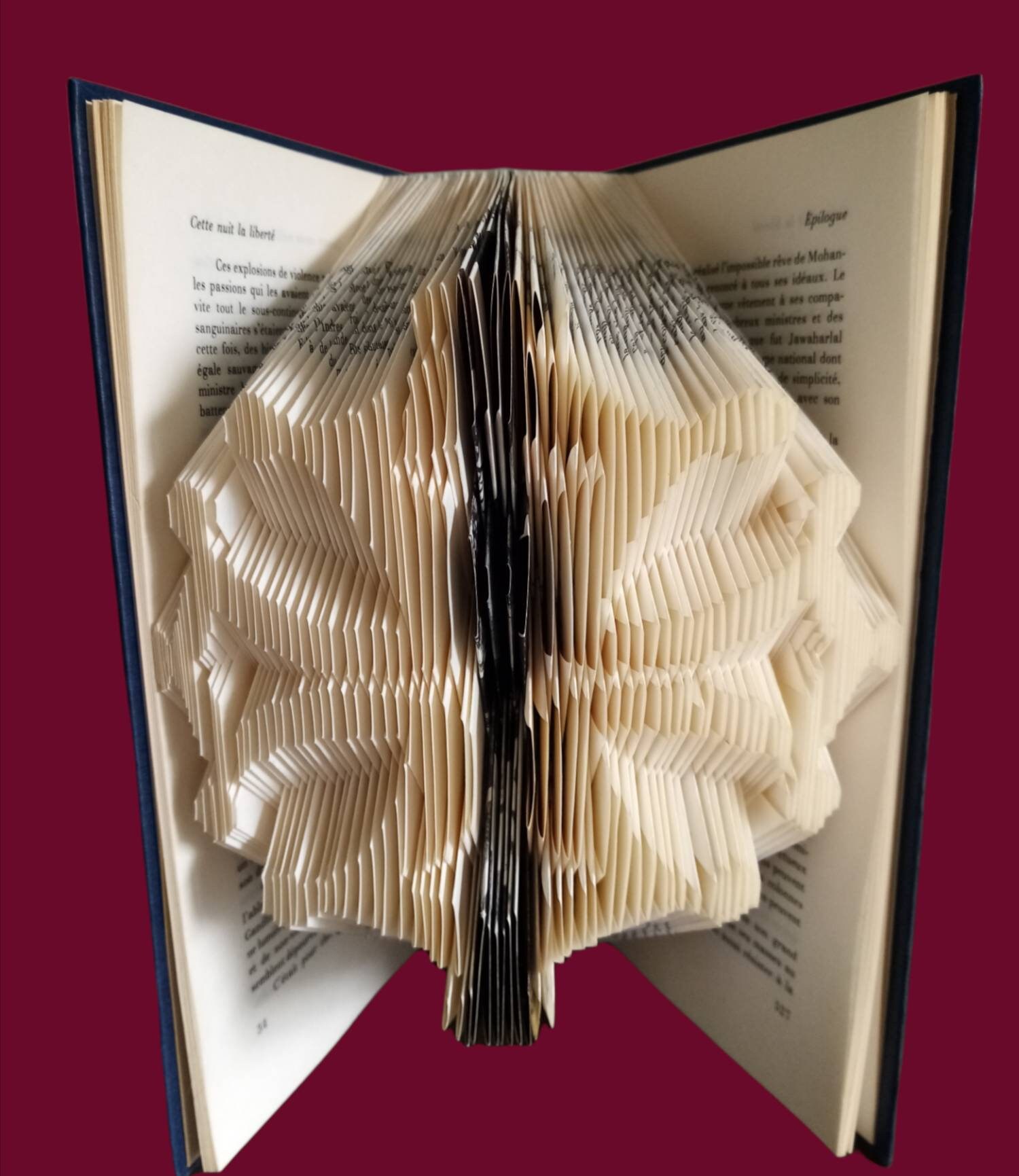 Croix Occitane Livre Plié