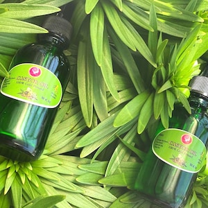 May include: Two green glass bottles of castor oil, labeled "Castor Oil 100% Cold Pressed" with a white label and a gold logo. The bottles are sitting on a bed of green leaves.