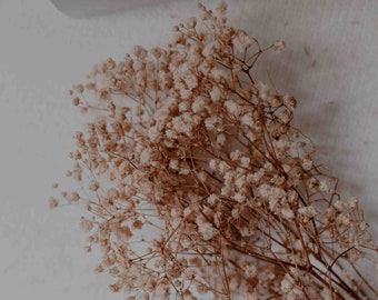 Natural stabilized gypsophila, boho decoration, wedding or babyshower decoration, dried flower bouquet.