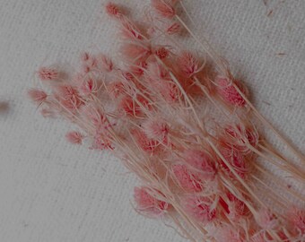Mini pink stabilized thistle, boho decor, wedding or babyshower decoration, dried flower bouquet.