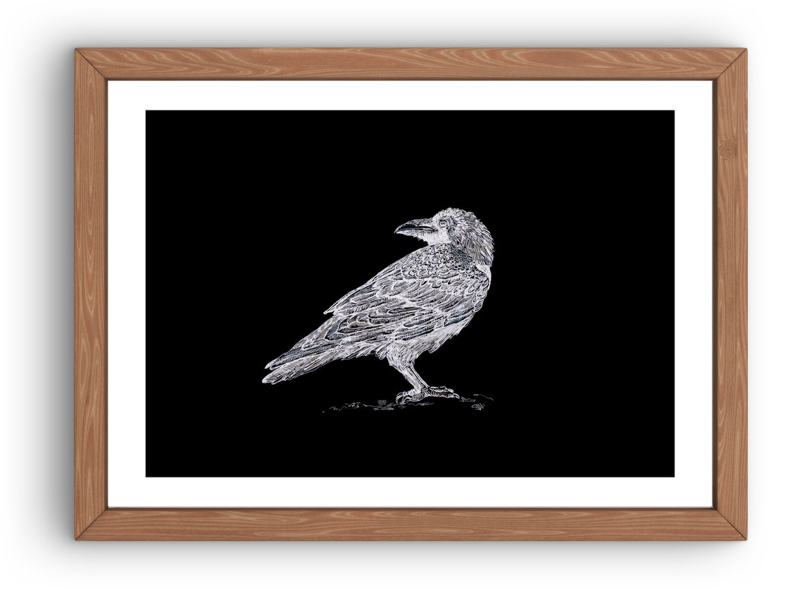 Crows Black Bird Printable Art Crow illustration Wall | Etsy