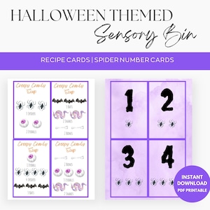 APENAS atividades de caixa sensorial com tema de Halloween, cartões de receitas e cartões de reconhecimento de número de aranha, DOWNLOAD DIGITAL