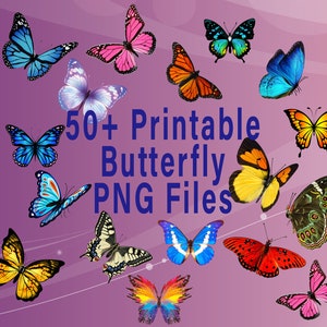 Schmetterling Clipart, Bunte Schmetterling Clipart, Schmetterling PNG, Schmetterlinge Bild Pack, Gemalte Schmetterlinge Clipart, Aquarell Schmetterling
