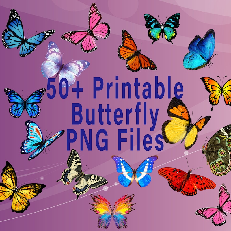 Butterfly Pink Orange Png - Etsy