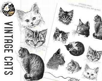 Printable Cat Stickers, Collage Sheet Cats, Vintage Cats Images PNG and Collage Sheets, Digital Download