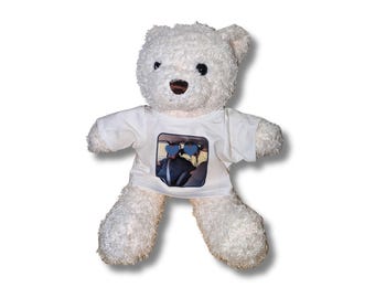 Custom Designed T-shirt on Plush Teddy Bear