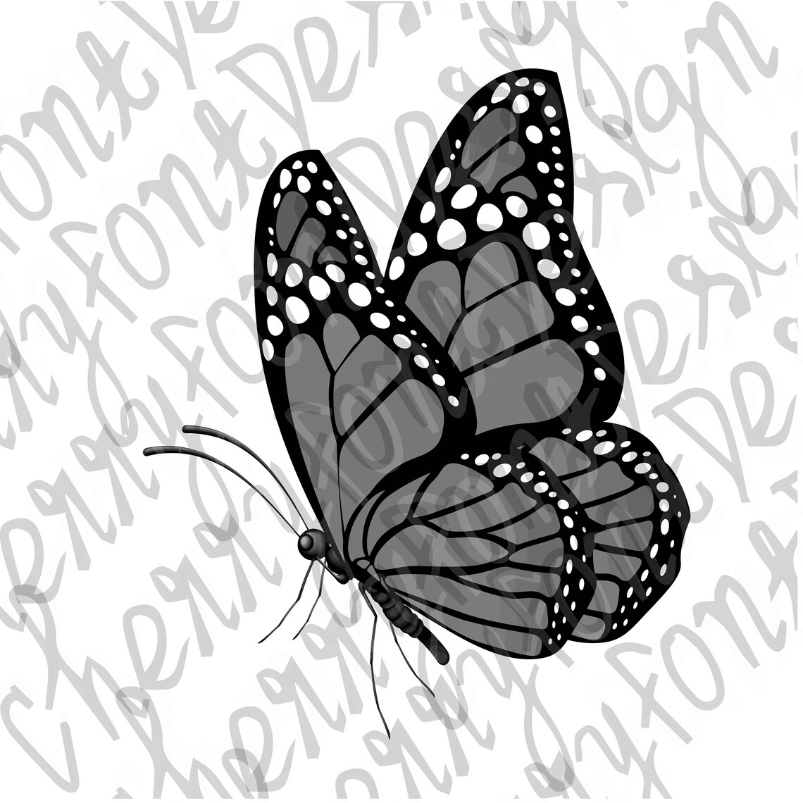 Butterfly SVG Butterfly Clip Art Butterfly Clipart | Etsy