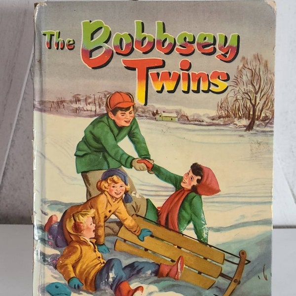 The Bobbsey Twins book.