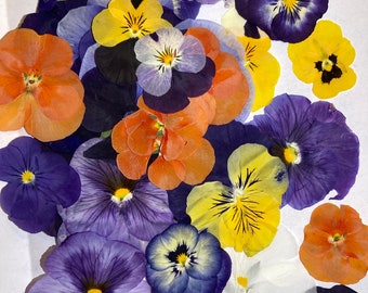 Pressed Pansy Flowers, 10 Real Dried Flowers for Resin Art, Candle Making, Soap Making, Nail Art, Scrapbooking, DIY Craft Supplies