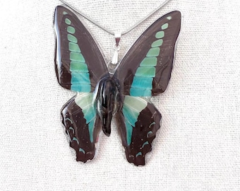 Real Butterfly Wing Necklace - Turquoise Insect Jewelry, 18 inch