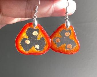 Holiday gift /best friend gift Real chili pepper Earring/chili earring/real fruit earring/hot pepper earring/ food earring/resin jewelry