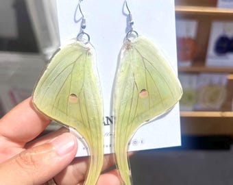 Real Luna Moth Earring