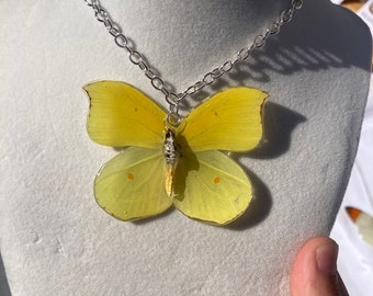 Real butterfly  necklace Jewelry/hand made best gift for her/ gift for mom/y2k jewelry