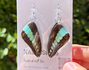 Real Butterfly Wing Earrings, Teal Blue Resin Dangles, Common Bluebottle Insect Jewelry, Nature Lover Gift for Her
