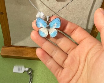 Elegant Gray Butterfly Necklace | Real Butterfly Pendant | Handmade Nature