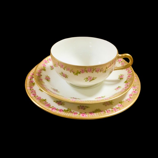 Beautiful Limoges Haviland hand painted trio tea cup and saucer with dessert plate France, mint condition , gorgeous Limoges tea set gift .