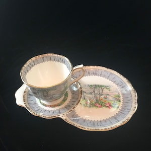 Pu&ograve; includere: Una tazza da t&egrave; e un piattino bianchi con un disegno floreale che presenta una betulla e dei fiori. La tazza e il piattino hanno un bordo dorato e uno sfondo blu chiaro e grigio.
