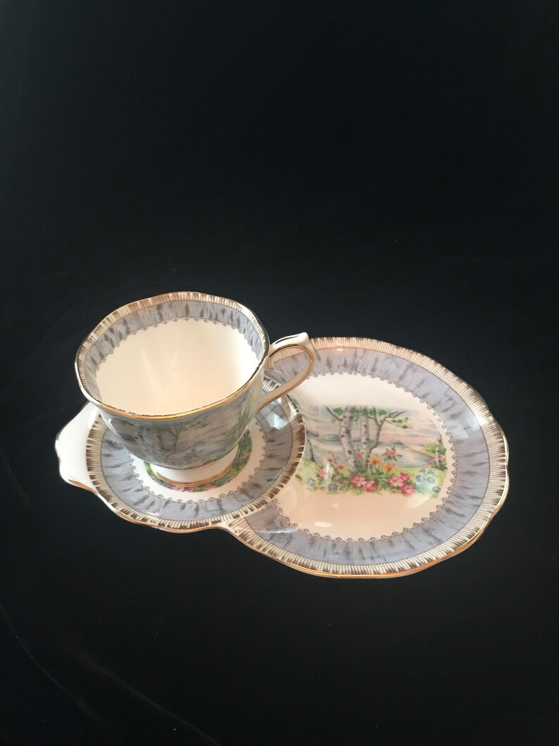 Pu&ograve; includere: Una tazza da t&egrave; e un piattino bianchi con un disegno floreale che presenta una betulla e dei fiori. La tazza e il piattino hanno un bordo dorato e uno sfondo blu chiaro e grigio.