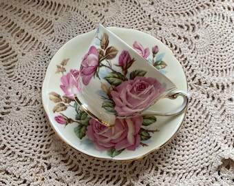 Royal standard large pink cabbage rose tea cup and saucer on creamy yellow background, collectible English bone china