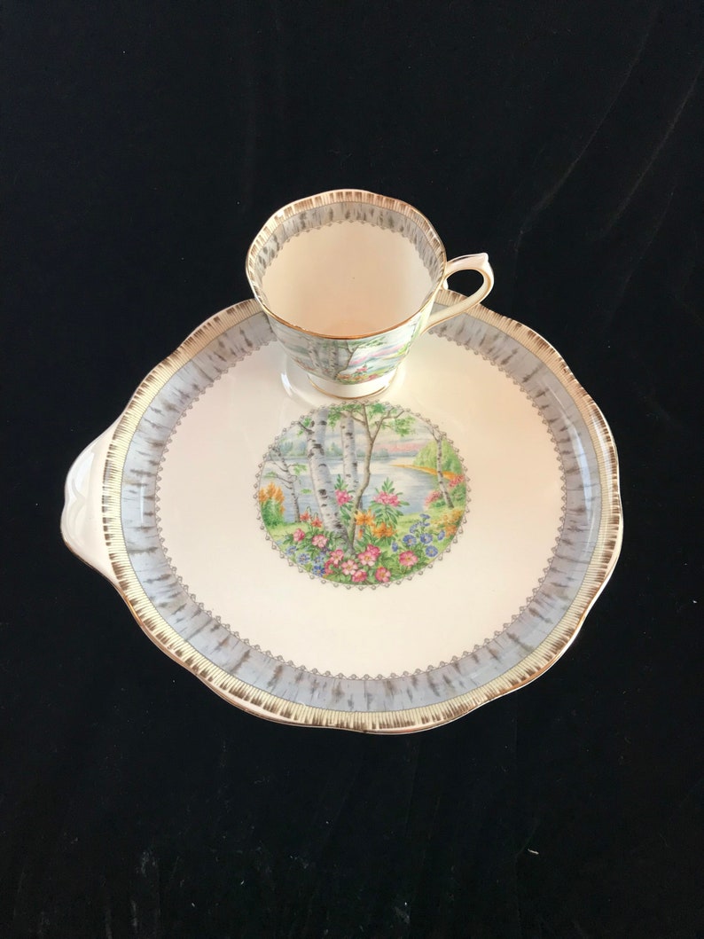 Pu&ograve; includere: Un set vintage di tazza e piattino da t&egrave;. La tazza &egrave; posizionata su un piattino abbinato con un bordo azzurro e dorato. Il centro del piattino presenta un'illustrazione paesaggistica di un lago con betulle e fiori colorati. Il set &egrave; in porcellana.