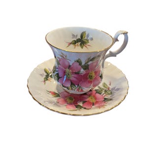 Vintage real Albert demitasss pradera rosa espresso rosa taza de café floral y platillo