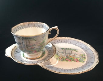 Royal Albert silver birch tennis set, made in England, vintage snack set silver birch