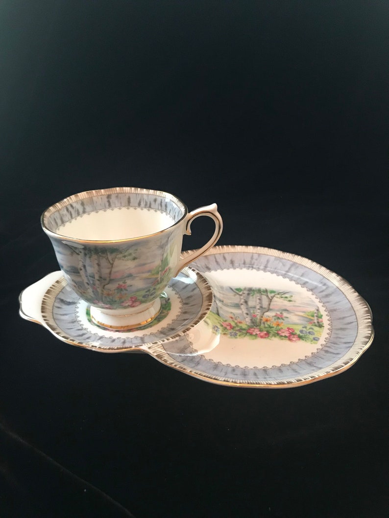 Pu&ograve; includere: Una tazza da t&egrave; e un piattino bianchi con un motivo floreale e un bordo dorato. La tazza e il piattino presentano una scena di una foresta di betulle con un cielo blu e nuvole bianche.