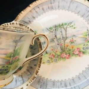 Pu&ograve; includere: Una tazza da t&egrave; e un piattino bianchi con un bordo dorato e un motivo floreale. Il motivo presenta una betulla, fiori e un lago. Il piattino ha un bordo ondulato.