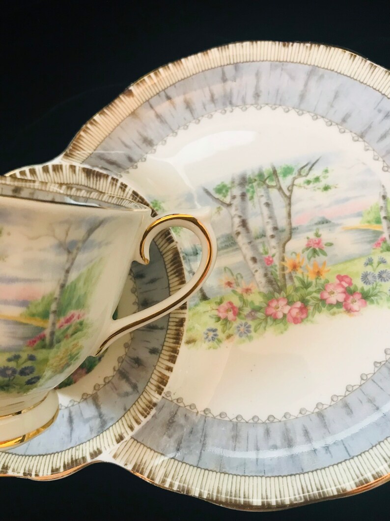Pu&ograve; includere: Una tazza da t&egrave; e un piattino bianchi con un bordo dorato e un motivo floreale. Il motivo presenta una betulla, fiori e un lago. Il piattino ha un bordo ondulato.