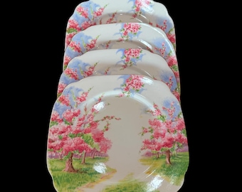 食器  ALBER Blossom Time Royal Albert Blossom Time Afternoon Tea Complete Set of 27-PC Bone