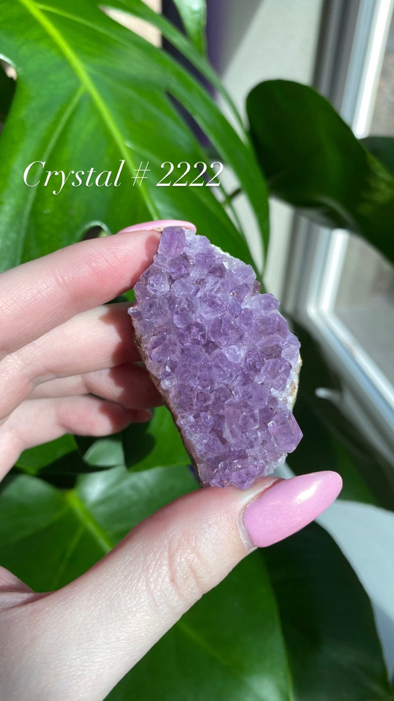 The one you pick is the one you receive Amethyst Clusters Pick Your Crystal