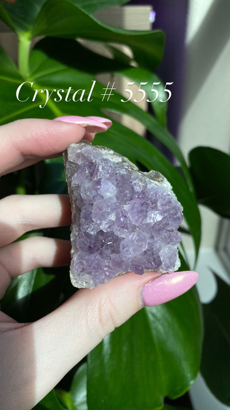 The one you pick is the one you receive Amethyst Clusters  Pick Your Crystal