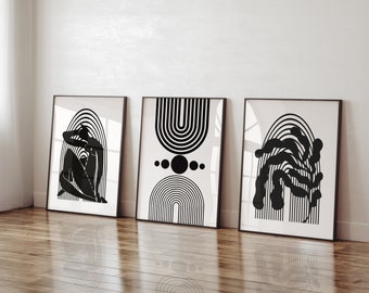 Rosapreto set of 3 Framed Canvas Wall Art Matisse Style Wall Art Black Print Abstract Set Decoration for Office