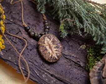 Sequoia Amuletum - Cone from the Giant Sequoia - Bronzite - Adjustable Necklace - Handmade Unique Piece - Forest Magic - Natural Jewelry