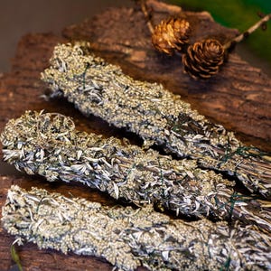 Könnte beinhalten: Drei Bündel getrockneter Kräuter, fest mit grünem Bindfaden gebunden, liegen auf einem Stück dunkelbrauner Rinde. Die Kräuter haben eine hellgrüne und beige Farbe. Zwei goldene Tannenzapfen und ein Zweig grünes Laub befinden sich im Hintergrund.