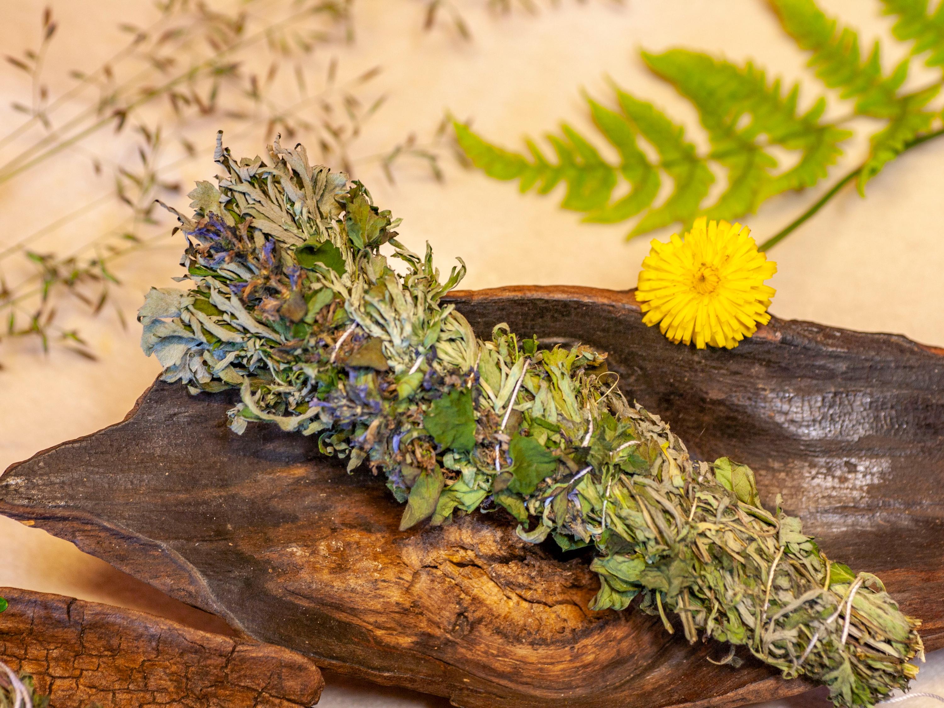 New Harvest - Incense Bundle *Protective Shield* - handmade - home grown & harvested - protection - incense - smudge stick - plant magic