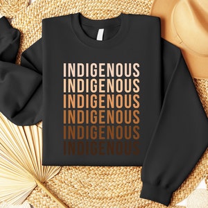 Felpa con cappuccio indigena "No More Stolen Sister", maglietta nativa americana, maglietta MMIW, mano rossa indigena, indossa il rosso per mia sorella