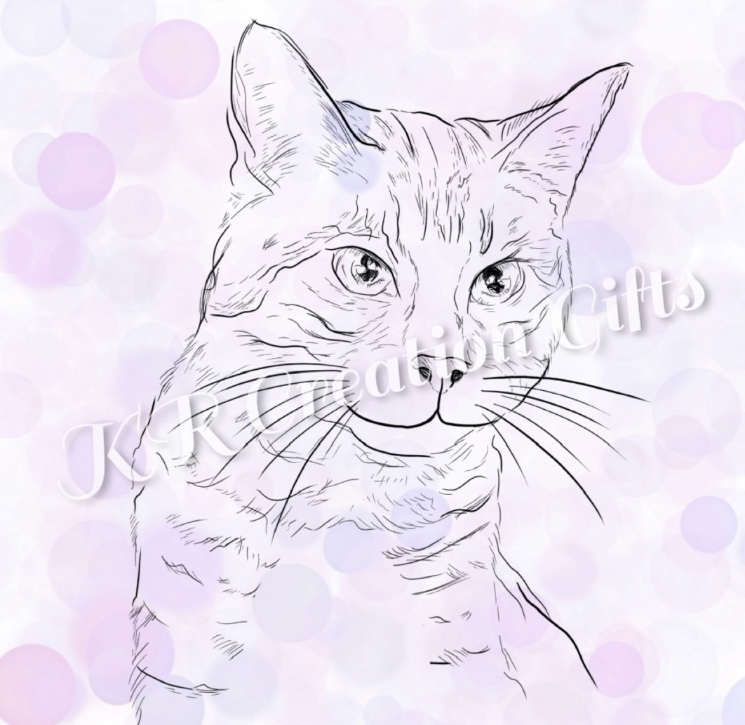 Digital Cat Drawing Sketch Minimalist Art Etsy