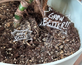 Poteau pour plantes Grow Better de GOmens, acrylique transparent