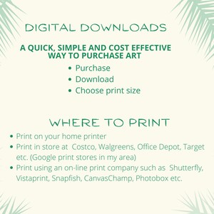 K&ouml;nnte beinhalten: Digitale Downloads f&uuml;r Kunstdrucke. Eine gr&uuml;n-wei&szlig;e Grafik mit dem Text "Digitale Downloads" und "Eine schnelle, einfache und kosteng&uuml;nstige M&ouml;glichkeit, Kunst zu kaufen." Die Grafik listet die Schritte zum Kauf von Kunst auf: Kauf, Download und Auswahl der Druckgr&ouml;&szlig;e. Die Grafik listet auch auf, wo man drucken kann: auf dem heimischen Drucker, im Gesch&auml;ft bei Costco, Walgreens, Office Depot, Target oder &uuml;ber ein Online-Druckunternehmen wie Shutterfly, Vistaprint, Snapfish, CanvasChamp, Photobox.