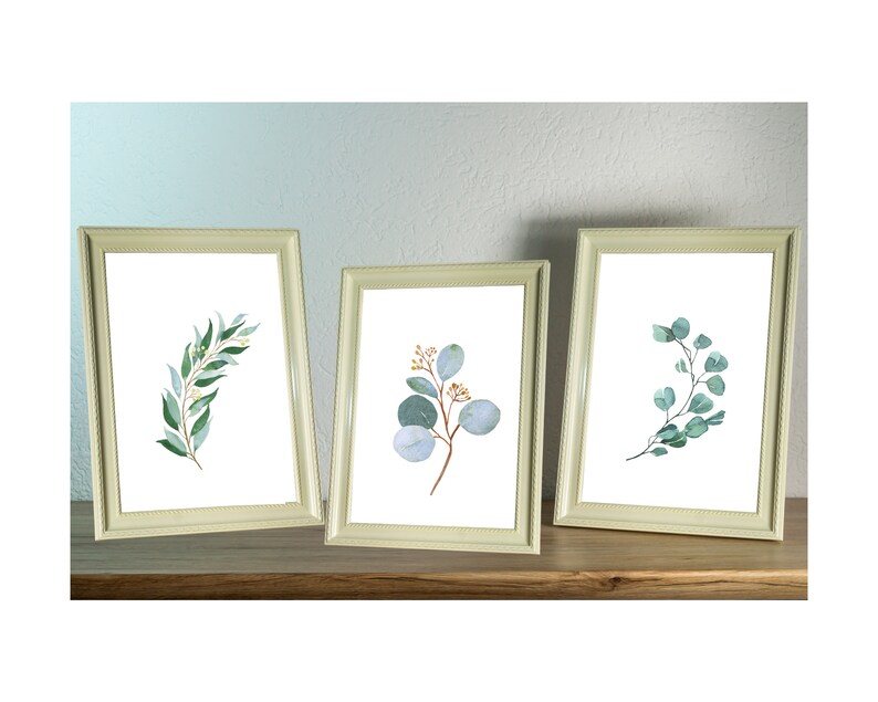 Botanical Plant Print Wall Art Eucalyptus Print Digital Wall Decor Nature Study. Modern Set of 3 Eucalyptus Leaves Poster