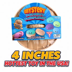 12 PACK-Squishy Dumpling- Viral Box Mystery  Assorted Fidget Desk Toys Gift Pack Summer Birthday Graduation Goody Bag Stuffers Bulk