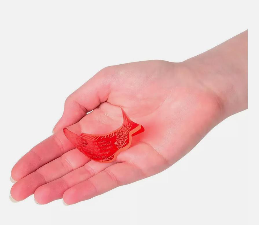 Fortune Teller Miracle Fish Magic Trick by World Tech Toys